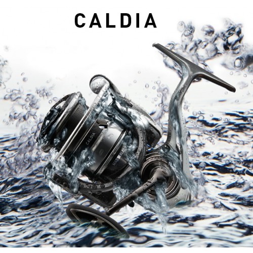 Купить катушку Daiwa 18 CALDIA LT4000-CXH